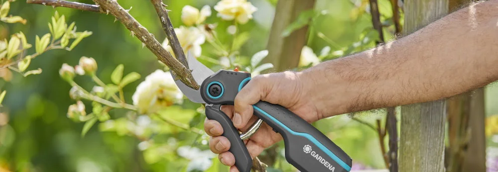 Person schneidet einen Ast mit einer Gartenschere